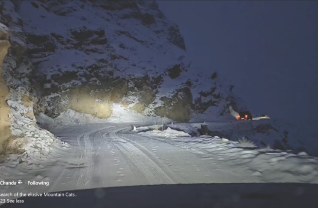 Snow Expedition